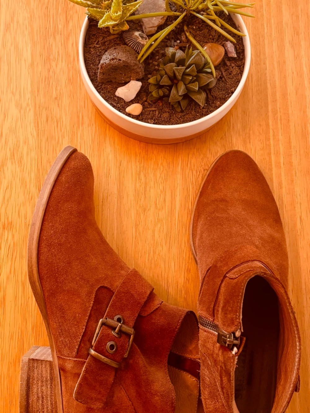 Sundance Chestnut Suede Ankle Booties with Buckle